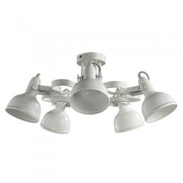Изображение продукта Потолочная люстра Arte Lamp Martin 